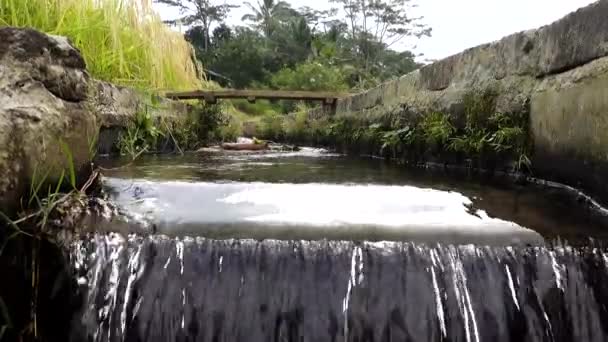 Джатилуви Бали Индонезия Небольшой Ручей Течет Вдоль Рисовых Террас Джатилуви — стоковое видео