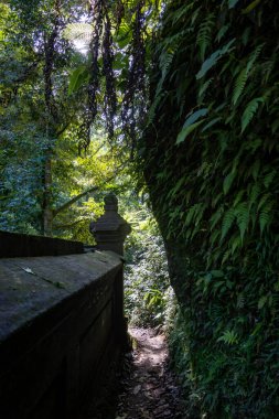 Bali, Endonezya Ormanın içinden geçen bir yol ve küçük bir Hindu tapınağının duvarı.