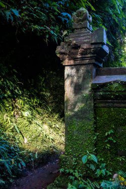 Bali, Endonezya Ormanın içinden geçen bir yol ve küçük bir Hindu tapınağının duvarı.