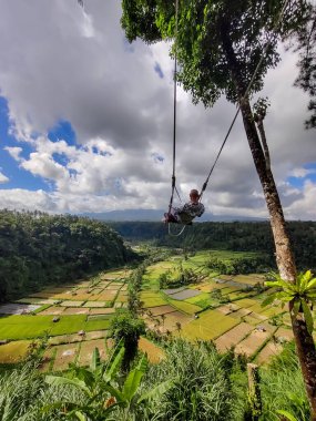 Bali, Endonezya Bir adam pirinç tarlalarının üzerinde devasa bir salıncak sürüyor