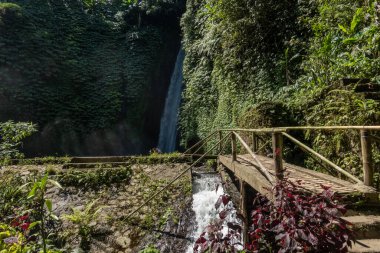 Munduk Şelalesi, Bali, Endonezya Ormandaki Munduk Şelalesi.