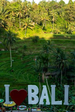 Ubud, Bali, Endonezya Gün batımında Tagalalang pirinç tarlaları