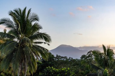 Maount Bali, Endonezya Sabahın erken saatlerinde Bali Dağı ve palmiye ağaçları manzarası.