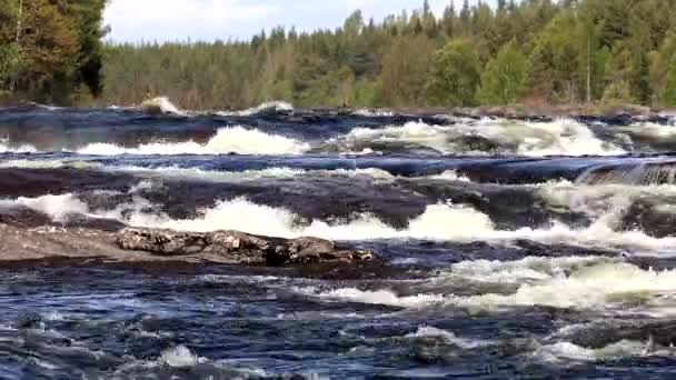 瑞典沃姆福尔斯白水急流在文德尔文河500米长的河段上滑落9米 — 图库视频影像