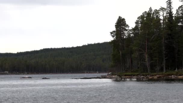 Tjkkjokk Σουηδία Άποψη Της Λίμνης Storavan Στην Περιοχή Norbotten — Αρχείο Βίντεο
