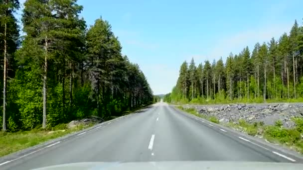 Norsjo Szwecja Borealne Lasy Sosnowe Poboczu Drogi Przez Rejon Vasterbotten — Wideo stockowe