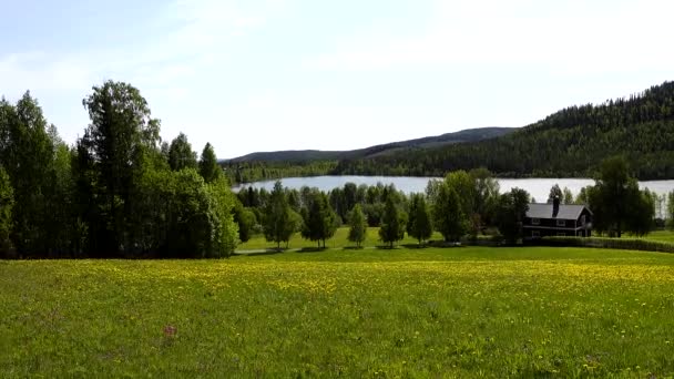 Norsjo Szwecja Malowniczy Widok Jezioro Stodołę Górę Pole Żółtych Dmuchawców — Wideo stockowe