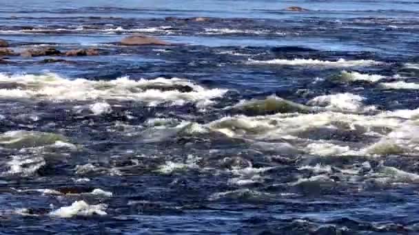 Storforsen Sweden Storforsen River Rapids Pitea River Norrbotten Region — стокове відео