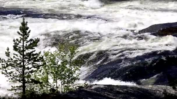 Storforsen Sveç Storforsen Nehri Norrbotten Bölgesindeki Pitea Nehri Üzerinde Akıntıya — Stok video