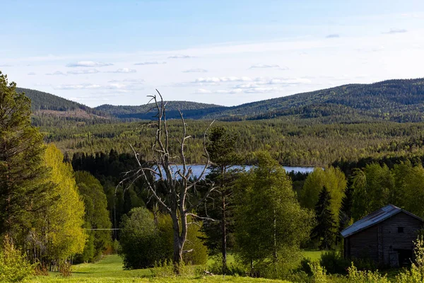Kalvtrask Suécia Uma Paisagem Montanhosa Com Lago Florestas — Fotografia de Stock