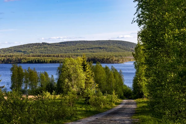 Kalvtrask Suécia Uma Paisagem Montanhosa Com Lago Florestas — Fotografia de Stock