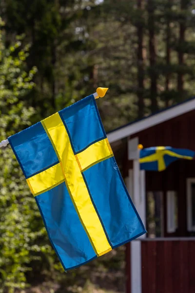 Renfors Sverige Bakgrundsbelyst Svensk Flagga Skogen — Stockfoto