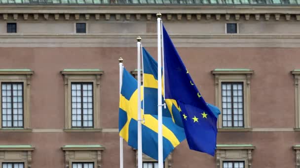 瑞典斯德哥尔摩瑞典国旗和欧盟旗帜迎风飘扬 — 图库视频影像