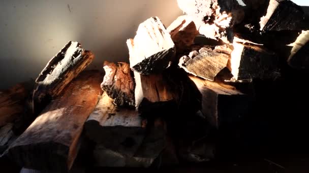 Sztokholm Szwecja Panning View Wood Pile Summer Cabin — Wideo stockowe