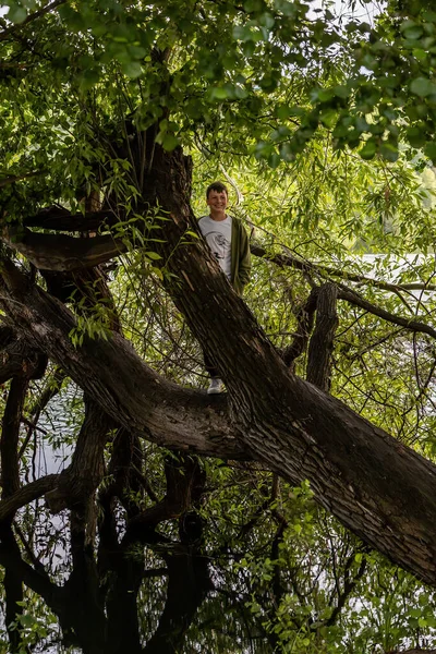 Стокгольм Швеция Мальчик Подросток Стоит Дереве Которое Перелез Через Воду — стоковое фото