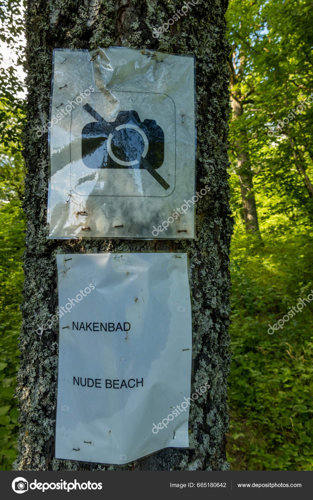 forest nudist スウェーデン ストックホルムスウェーデンの公共ヌーディストビーチのための標識 — ストック写真 © Alexander2323 #665180642