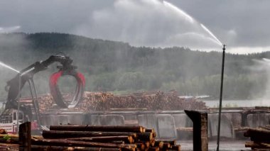 Leksand, İsveç çam kütükleri depolanır, havlanır ve kereste fabrikasında tedavi edilir.. 