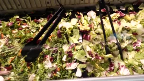 Mora Zweden Uitzicht Een Self Service Salade Bar Met Ingrediënten — Stockvideo