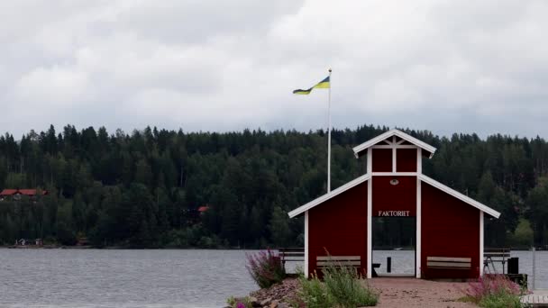 シヤン湖 スウェーデンシヤン湖の夏の風景 — ストック動画