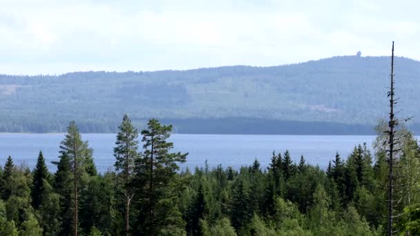 Jezioro Sijan Szwecja Letni Widok Jezioro Siljan — Wideo stockowe