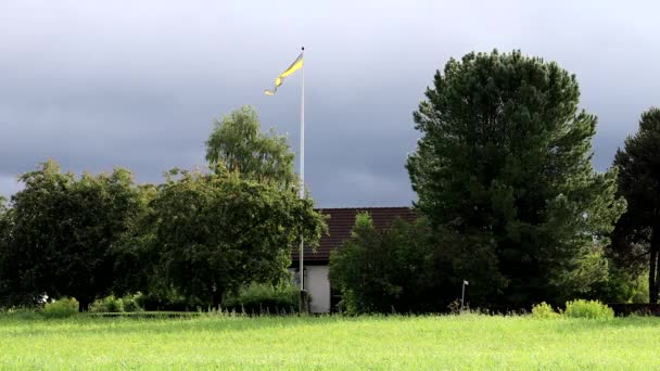 Insjon Zweden Een Kleine Zweedse Vlag Wappert Een Huis Naast — Stockvideo