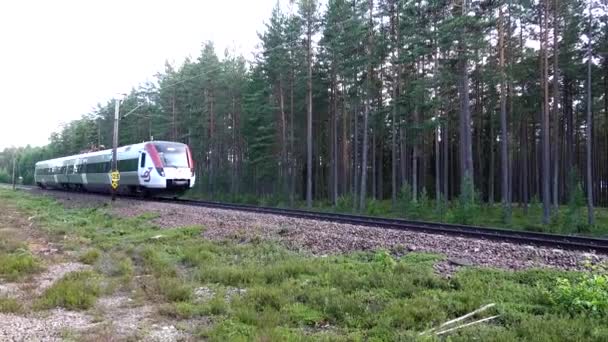 Mora Szwecja Międzymiastowy Pociąg Regionalny Przejeżdża Przez Wiejskie Przejazdy Kolejowe — Wideo stockowe
