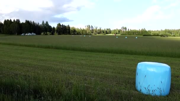 Rattvik Szwecja Niebieska Bela Siana Owinięta Oddychający Plastik Polu — Wideo stockowe