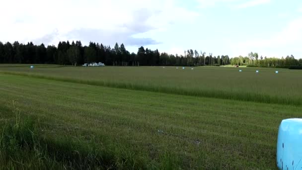 瑞典拉特维克一个用可吸入塑料包裹的蓝色干草包在田野里 — 图库视频影像