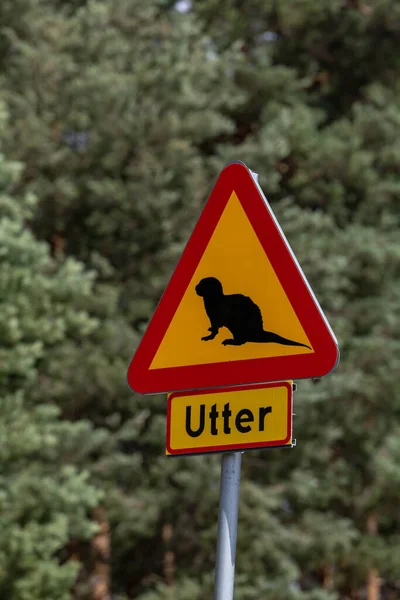 stock image Solleron, Sweden A road sign saying danger for otters