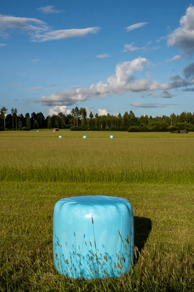 Rattvik Suécia Fardo Feno Azul Envolto Plástico Respirável Campo — Fotografia de Stock