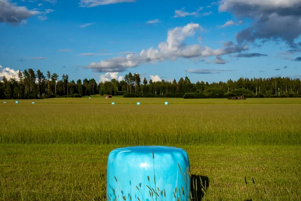 Rattvik Σουηδία Μια Μπλε Μπάλα Σανού Τυλιγμένη Αναπνεύσιμο Πλαστικό Ένα — Φωτογραφία Αρχείου