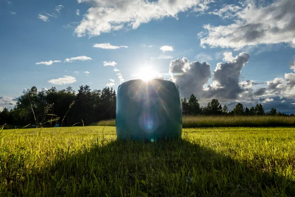 Rattvik Schweden Ein Blauer Heuballen Umwickelt Mit Atmungsaktivem Kunststoff Auf — Stockfoto