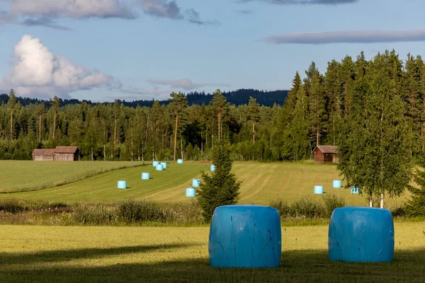ラトヴィク スウェーデンフィールド上の通気性プラスチックに包まれた青い干し草の俵 — ストック写真