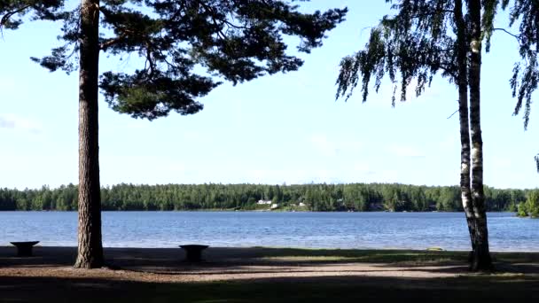 スウェーデン ソドゥルジェ マルムスジョデとビーチと呼ばれる小さな湖とレクリエーションエリア — ストック動画