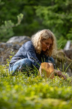 Enkoping, İsveç Yazın yağmurdan sonra yemyeşil ormanlarda bir kadın yaban mersini toplar.