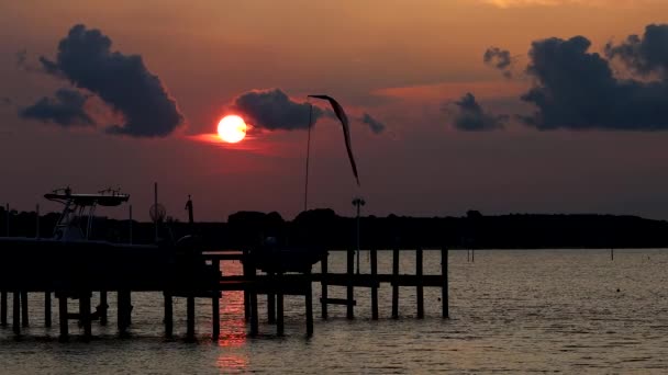 パインポイント メリーランド アメリカ チェサピーク湾の桟橋上のポトマック川の口の上の雲の上に日の出 — ストック動画