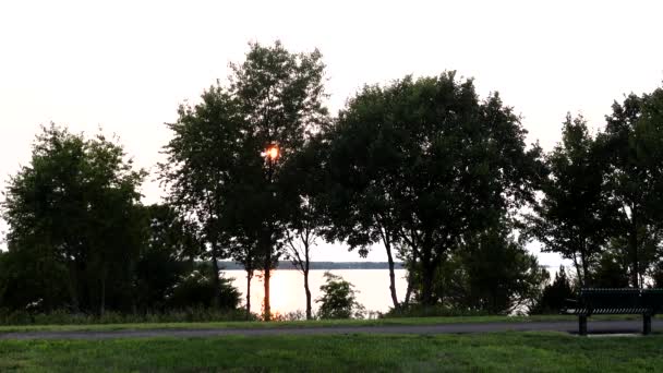 米国メリーランド州ソロモンズ Solomons Maryland Usa 上級退職した男は 日没時にパトゥクセント川沿いの公園で電池駆動のモビリティスクーターに乗っている — ストック動画