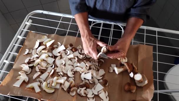 Una Donna Fette Appena Raccolte Funghi Karl Johan Asciugare Portabiti — Video Stock