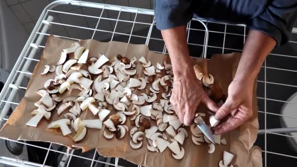 Una Donna Fette Appena Raccolte Funghi Karl Johan Asciugare Portabiti — Video Stock