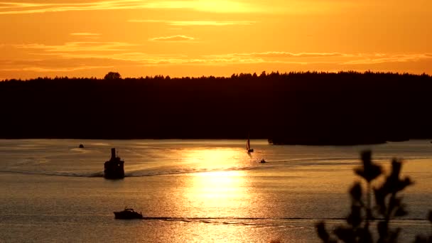Stoccolma Svezia Barche Solcano Acque Calme Del Lago Malaren Delle — Video Stock