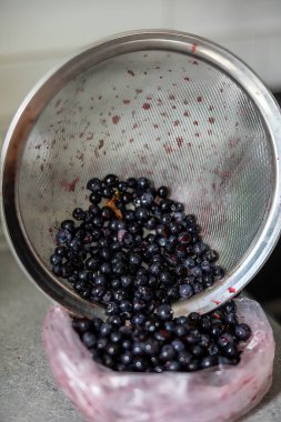 Taze toplanmış ve durulanmış yaban mersinli süzgeç donmak için dolduruluyor..