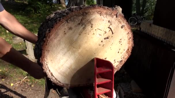 Stockholm Sweden Unidentified Person Uses Wood Splitting Machine Make Firewood — Stock Video