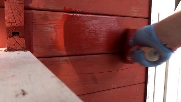 ストックホルム スウェーデン 青いゴム製手袋とペンキブラシは典型的なスウェーデンの価値の赤いペンキが付いている赤い木製のキャビンを塗ります — ストック動画