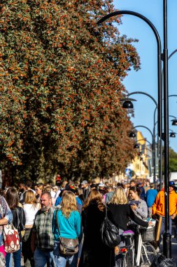 Stockholm, İsveç 17 Eylül 2023 Hagerstensvagen 'deki yıllık 2 kilometrelik Aspudden Bit Pazarı' nda bir kalabalık var..