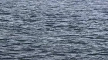 Aveiro, Portekiz Atlantik Okyanusunda Büyük dalgalar. 