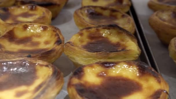 Porto Portugal Een Etalage Van Bakkerij Gevuld Met Pastel Nata — Stockvideo
