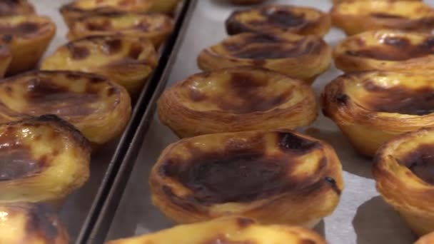 Porto Portekiz Pastel Nata Ile Dolu Bir Fırın Vitrini Bir — Stok video