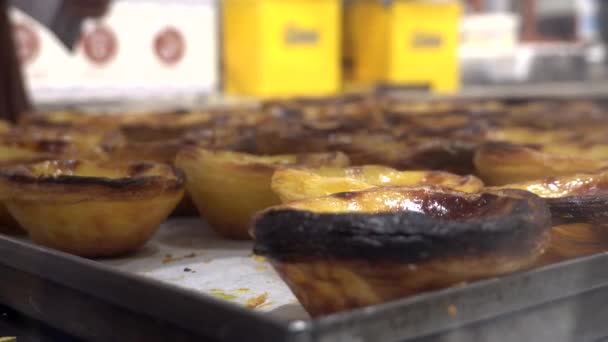 Porto Portugal Una Ventana Exhibición Panadería Llena Pastel Nata Una — Vídeos de Stock