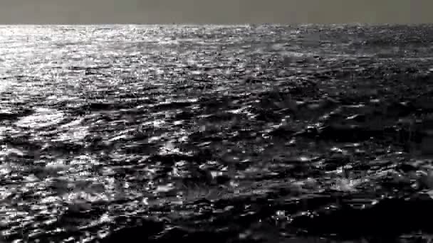 Aveiro Portugal Stora Böljande Vågor Atlanten — Stockvideo