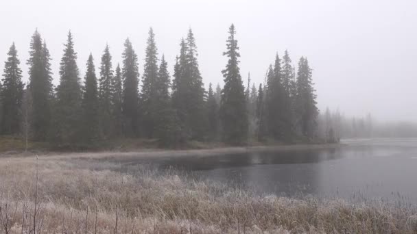Замерзший Туманный Пейзаж Рядом Небольшим Озером — стоковое видео